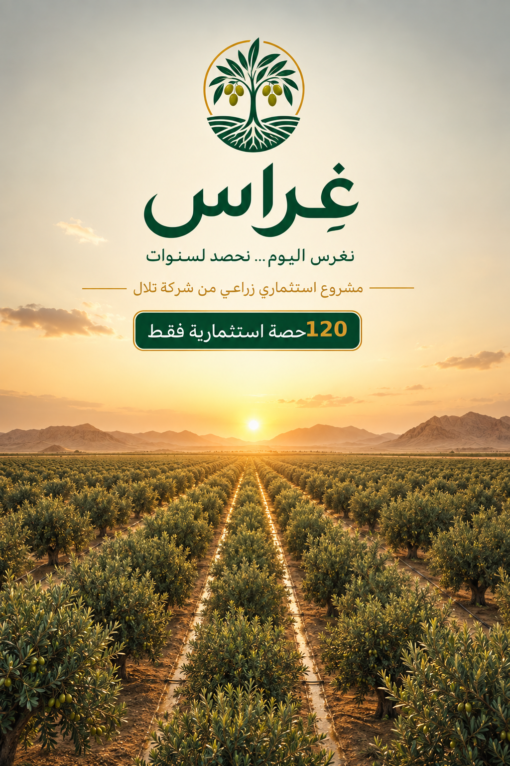 مشروع غراس لزراعة الزيتون